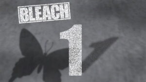 Bleach: 1×1